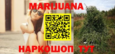 гашик Ливны