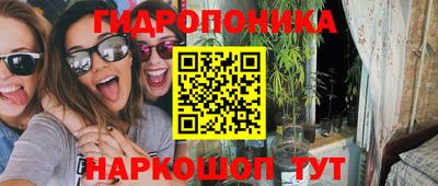 гашик Ливны
